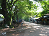 Tree-lined street in Mawlamyaing